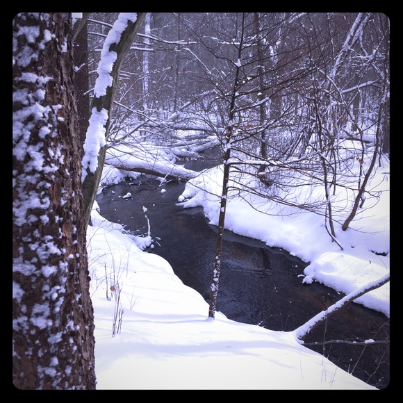 Meet your Posher, Lorelle - Picture 2 of 2